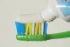 Patient Dental Education Maunu